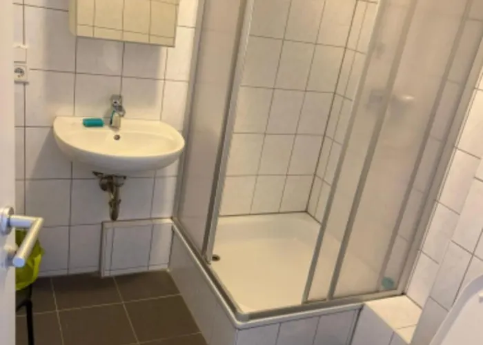 Sf 美因河畔法兰克福